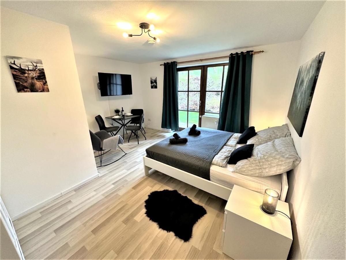 Cozy Apartment In Bavarian Forest +Pool +Sauna +Netflix Zwiesel Dış mekan fotoğraf
